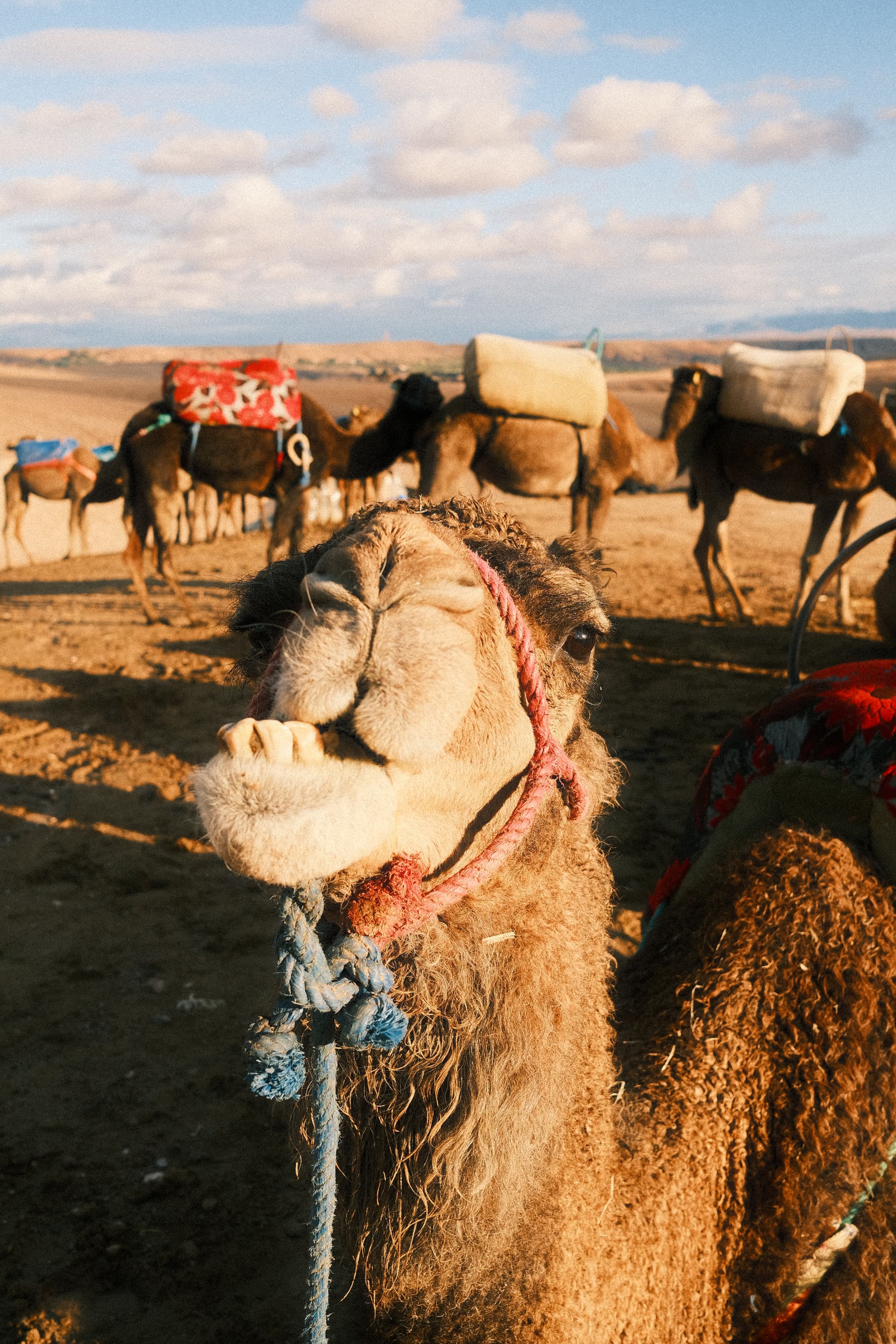 Dec 2025 - Agafay Desert, Marocco | Fujifilm XT-30 II, Fujifilm XF 23mm f2/0