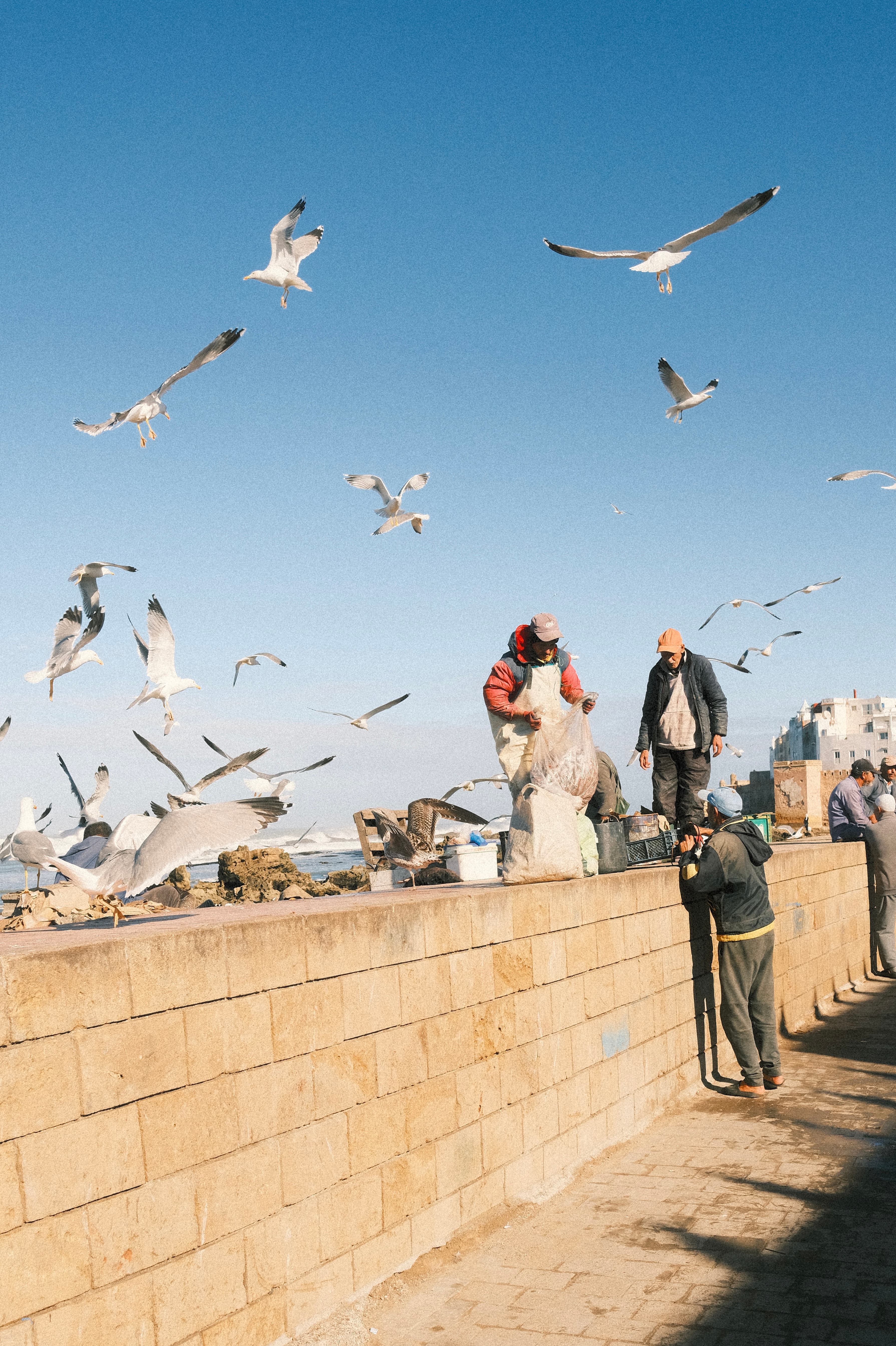 Dec 2025 - Essaouira, Marocco | Fujifilm XT-30 II, Fujifilm XF 23mm f2/0