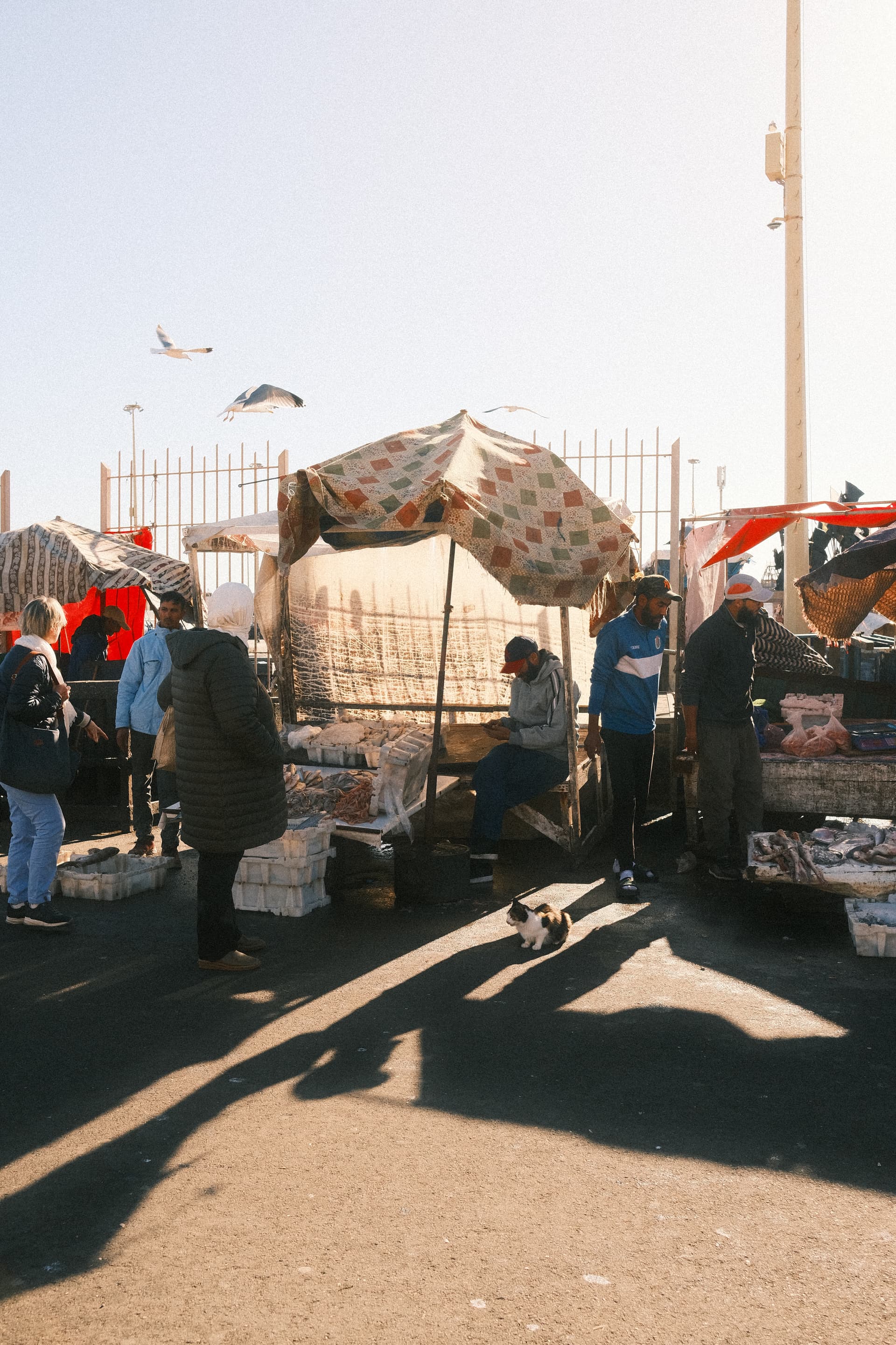 Dec 2025 - Essaouira, Marocco | Fujifilm XT-30 II, Fujifilm XF 23mm f2/0